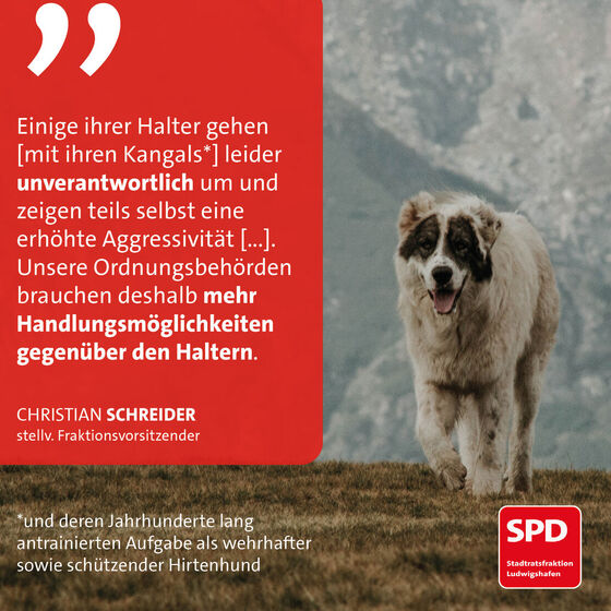 Foto: PxHere